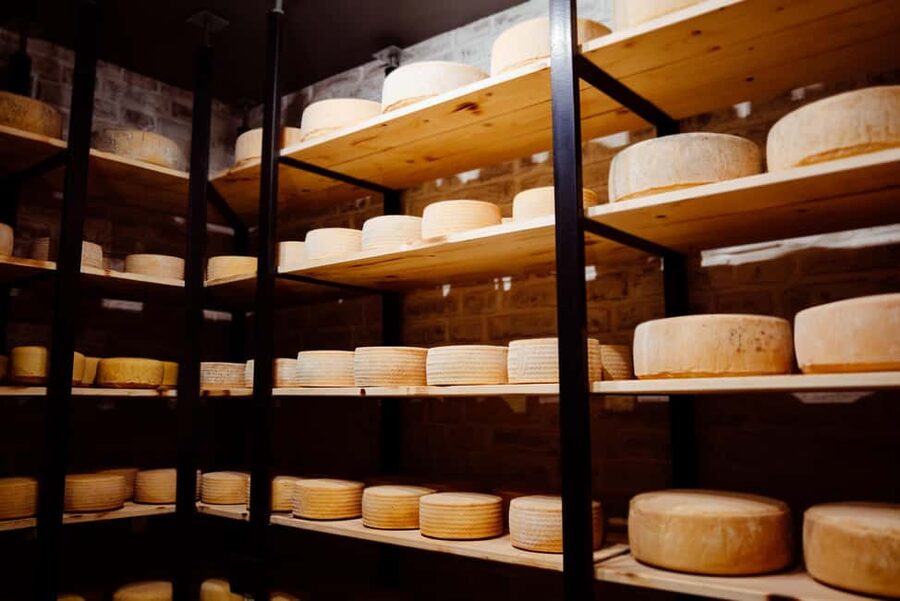 Basel: Local Cheese Tasting Tour with a Cheese Sommelier - Who will get the most from this cheese tour?