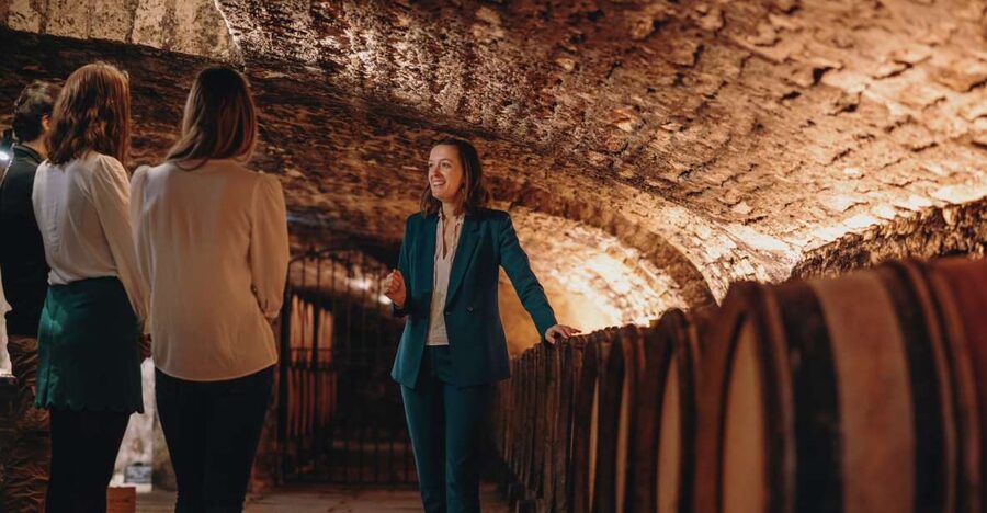 Beaune: Maison Champy Guided Cellar Tour with Wine Tasting - What the guide explains about Burgundy