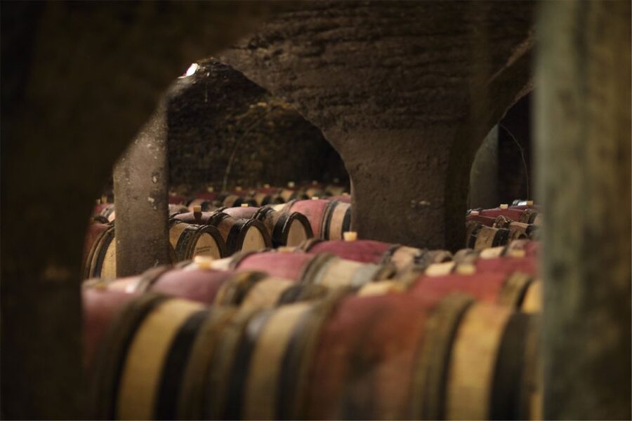 Beaune: Maison Champy Guided Cellar Tour with Wine Tasting - Why the tasting works for beginners