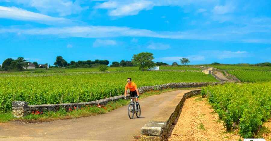 Beaune: Winery Tour by Bike with Wine Tasting - Riding out from Beaune toward Pommard