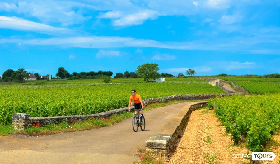 Beaune: Winery Tour by Bike with Wine Tasting - Pommard, where the wine names become real
