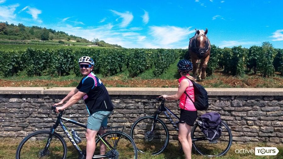 Beaune: Winery Tour by Bike with Wine Tasting - Through Volnay and onward to Meursault
