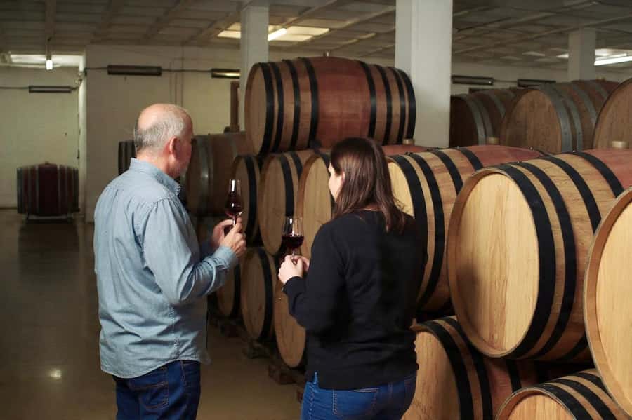 Best of the Cape Peninsula & Wine Route with Wine Tasting - Stellenbosch adds a change of pace