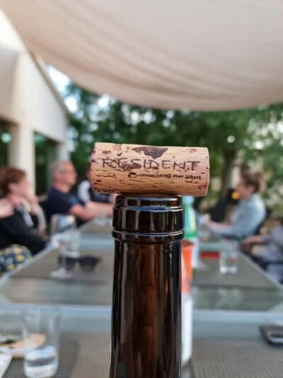Binissalem: Individual vineyard tour and wine tasting in German