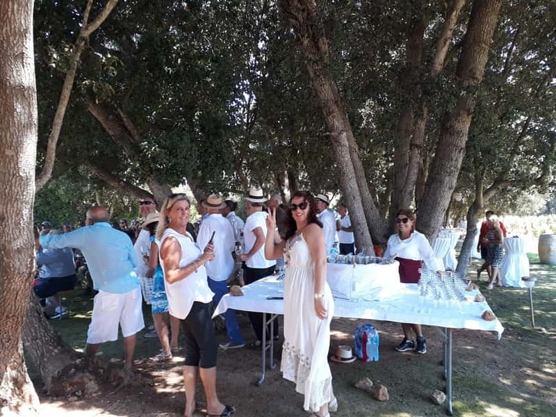 Binissalem: Individual vineyard tour and wine tasting in German - Five wines, from fresh whites to fuller reds