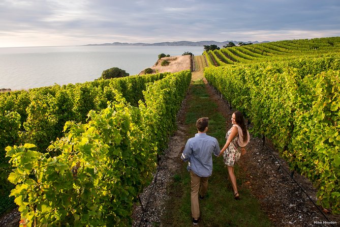 Blenheim Half day Wine Tour - Cellar doors, from famous labels to family wineries
