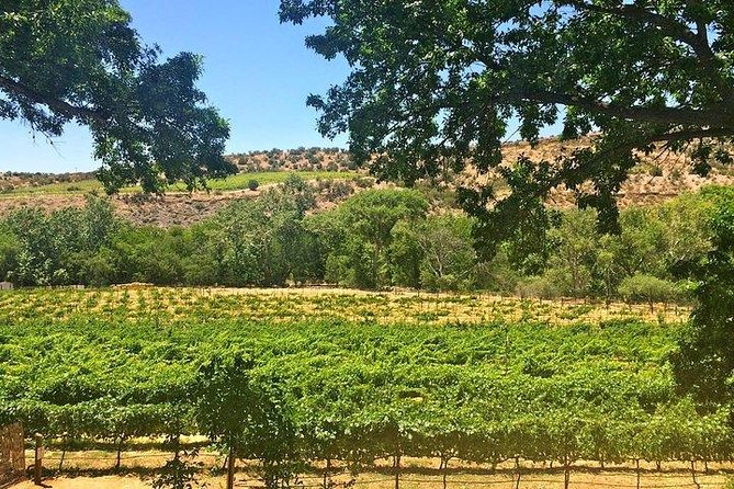 Bliss - Sedona’s Most Luxurious Wine Tour - Lunch Included! - What the $115 price really covers