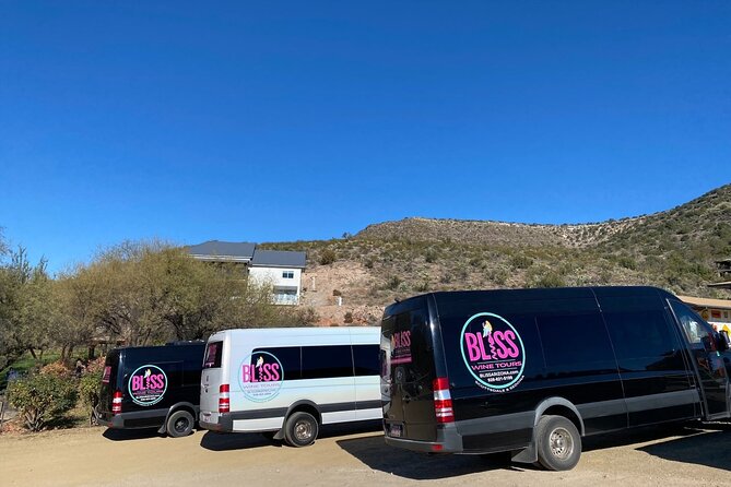 Bliss - Sedona’s Most Luxurious Wine Tour - Lunch Included! - The guide can make or break the day