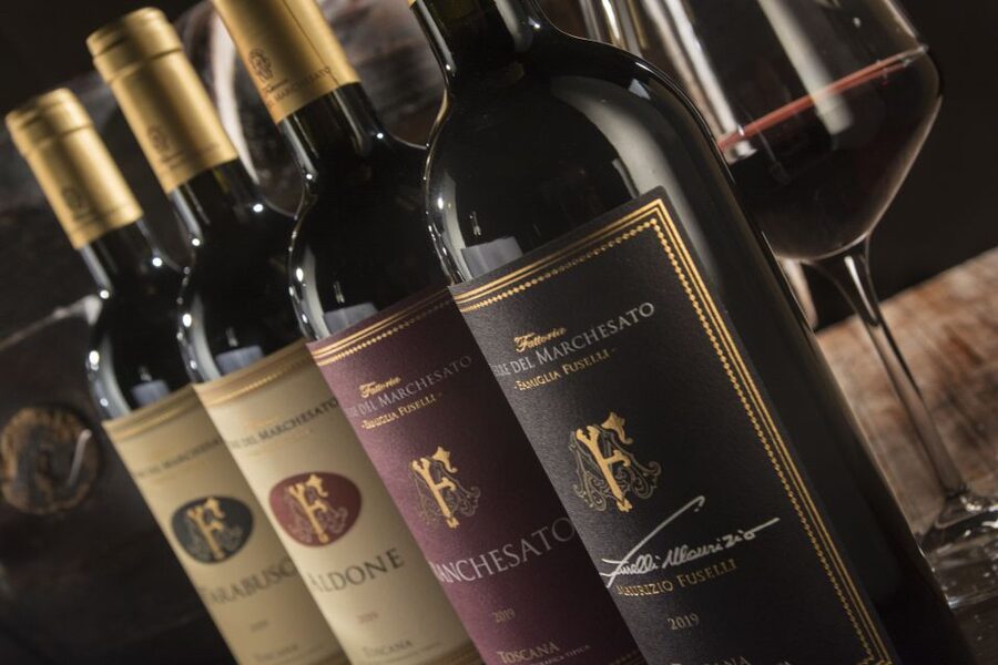 Bolgheri: Winery Tour with Wine Tasting - Key points to know before you book