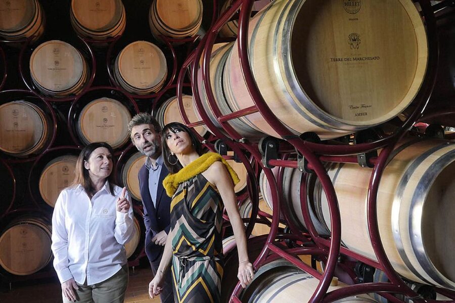 Bolgheri: Winery Tour with Wine Tasting - Why this small winery visit works