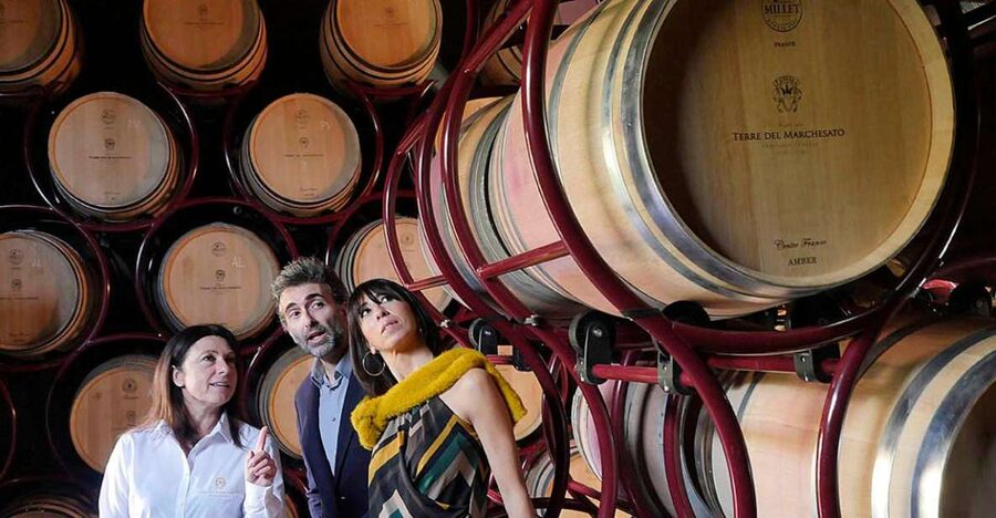 Bolgheri: Winery Tour with Wine Tasting - Starting among the Bolgheri vines