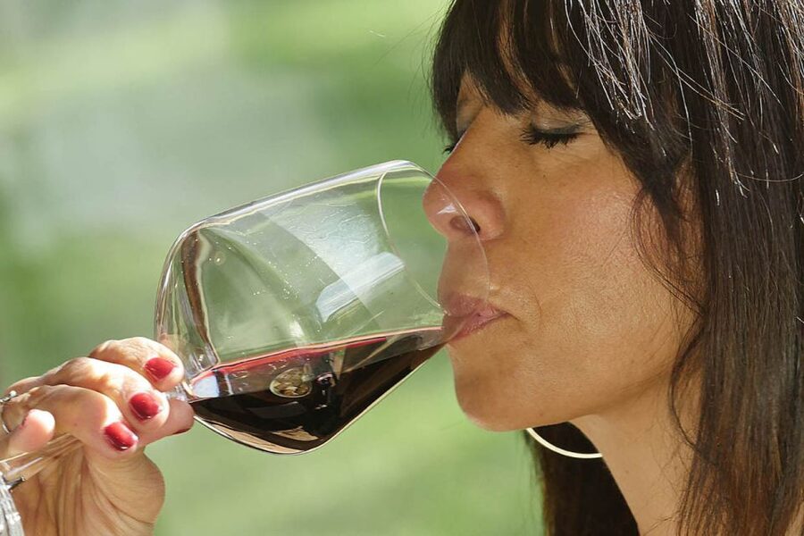 Bolgheri: Winery Tour with Wine Tasting - Choosing between the three tastings