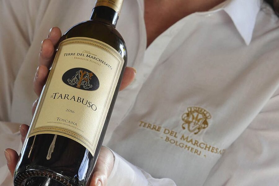 Bolgheri: Winery Tour with Wine Tasting - What the one-hour schedule feels like
