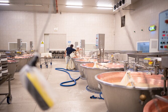 Bologna Food Valley: Factory tasting, Wines & traditional Lunch - Traditional balsamic vinegar in Castelvetro di Modena