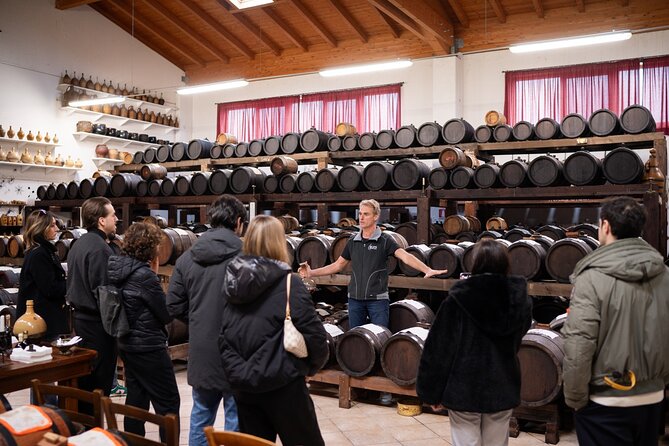 Bologna Food Valley: Factory tasting, Wines & traditional Lunch - Lambrusco and Pignoletto in the Castelvetro hills