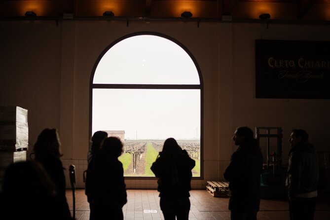 Bologna Food Valley: Factory tasting, Wines & traditional Lunch - Is $204.38 a fair price?