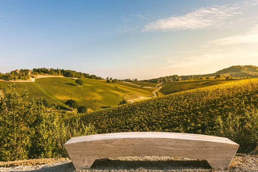 Bologna: Olive Grove and Vineyard Tour with Product Tastings - Key points to know