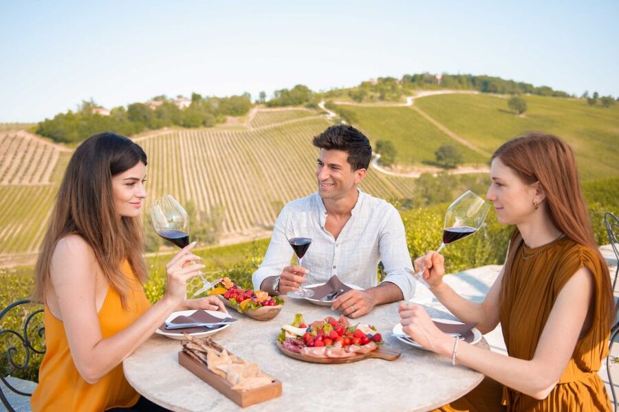 Bologna: Olive Grove and Vineyard Tour with Product Tastings - The guided walk through wine country