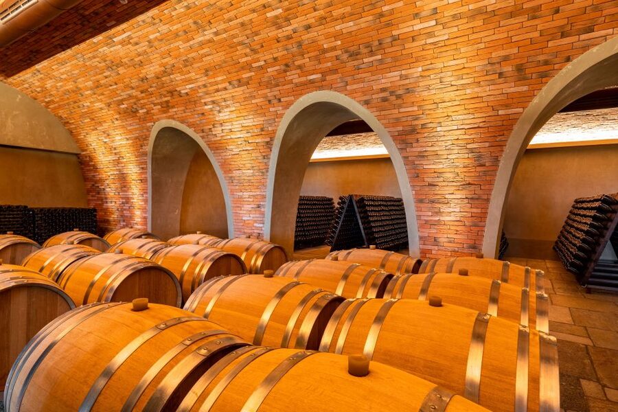 Bologna: Olive Grove and Vineyard Tour with Product Tastings - Is $20 good value?