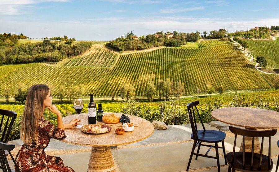 Bologna: Olive Grove and Vineyard Tour with Product Tastings - Who should book this visit?