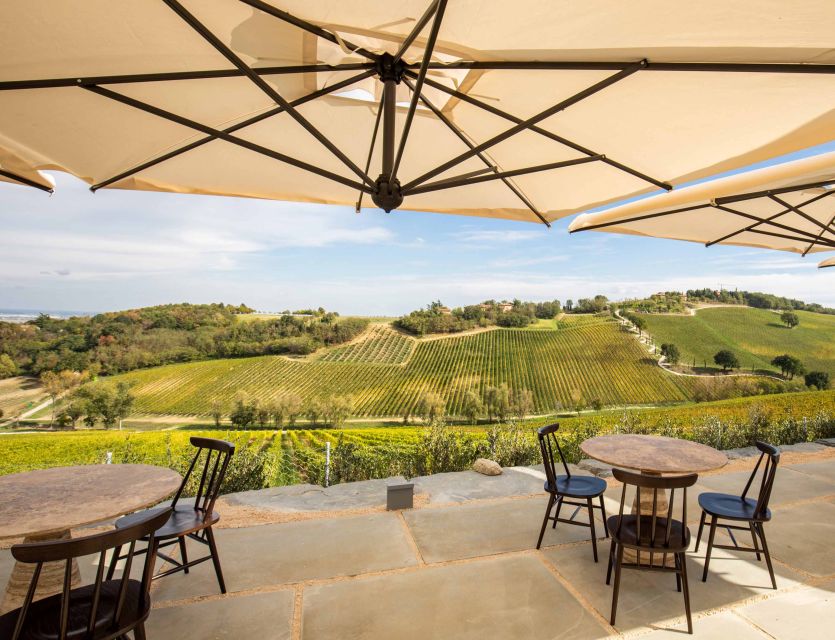 Bologna: Olive Grove and Vineyard Tour with Product Tastings - Practical tips before you go