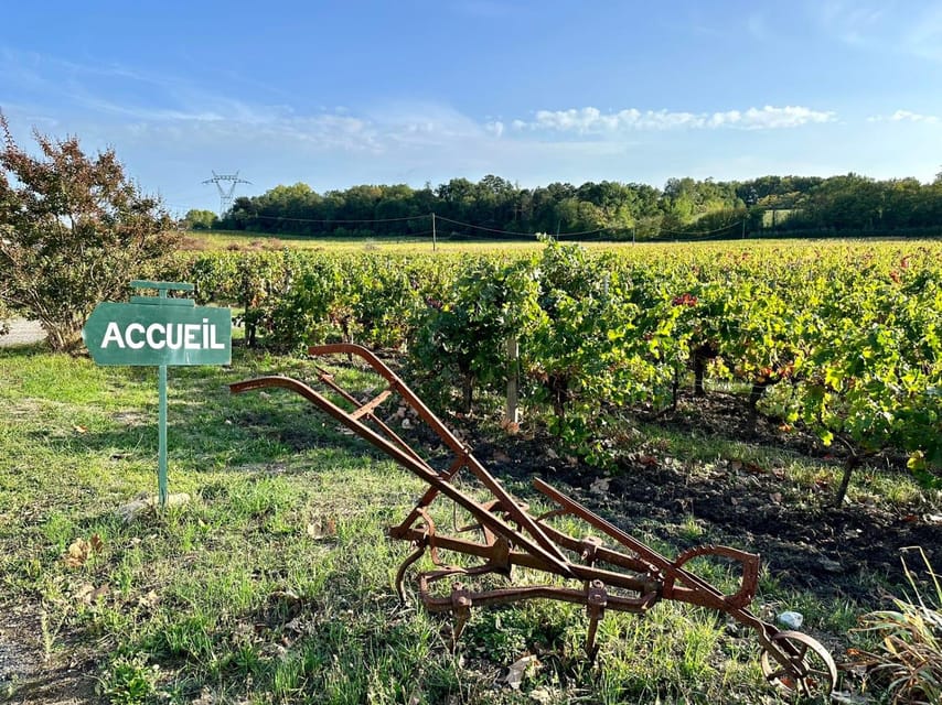 Bordeaux: Explore an Organic Family Vineyard with Tasting - Should You Book This Bordeaux Vineyard Visit?