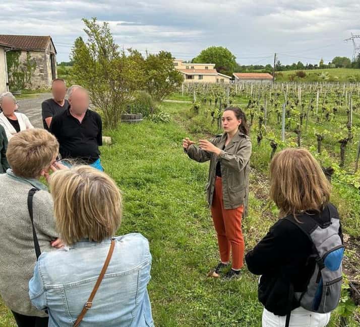 Bordeaux: Explore an Organic Family Vineyard with Tasting - Why the $21 Price Makes Sense