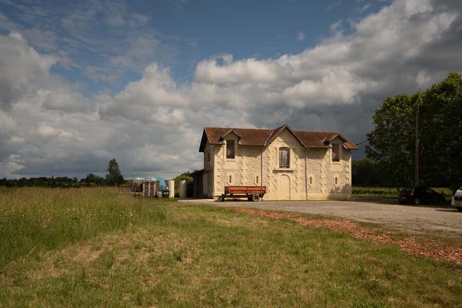 Bordeaux: Explore an Organic Family Vineyard with Tasting - Who Will Enjoy Pestoury Vineyard Most