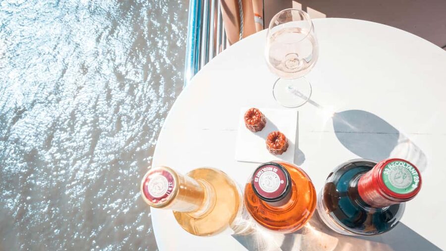 Bordeaux: Guided Wine and Canelé Discovery Cruise - Should you book it?