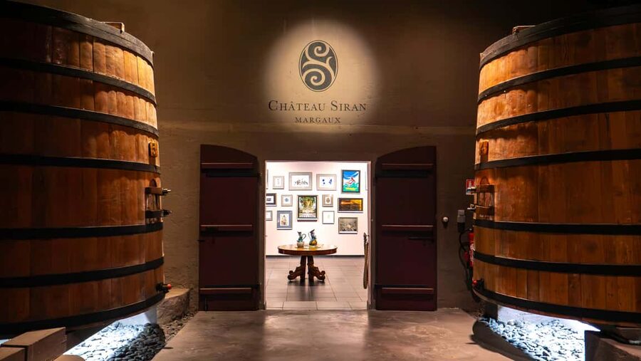 Bordeaux: Half-Day Margaux Tour with Wine Tastings - First Margaux visit: vines, grapes, and production