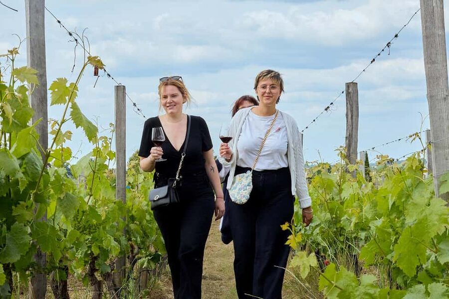 Bordeaux: Half-Day Margaux Tour with Wine Tastings - The small-group advantage