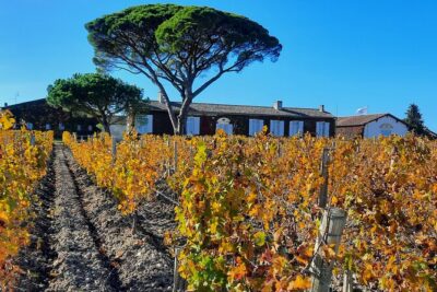 Bordeaux Médoc Region Private Wine Lovers Tour with Chateau Visits & Tastings