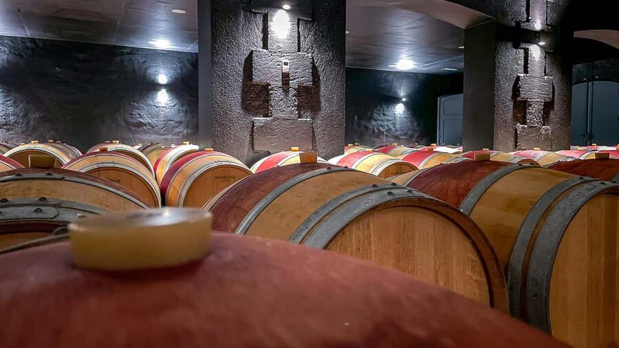 Bordeaux: Saint-Emilion and Medoc Full-Day Wine Experience - Saint-Émilion: start with the village, not the glass