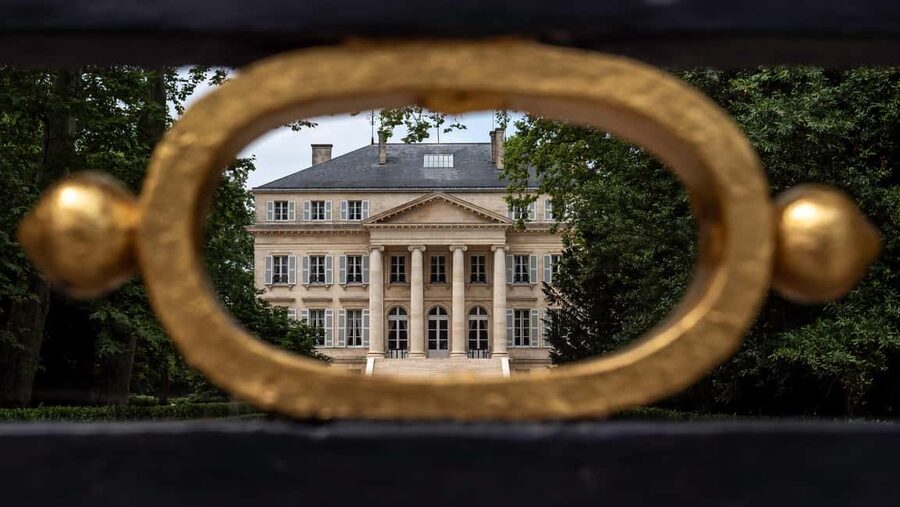 Bordeaux: Saint-Emilion and Medoc Full-Day Wine Experience - Who should book this day