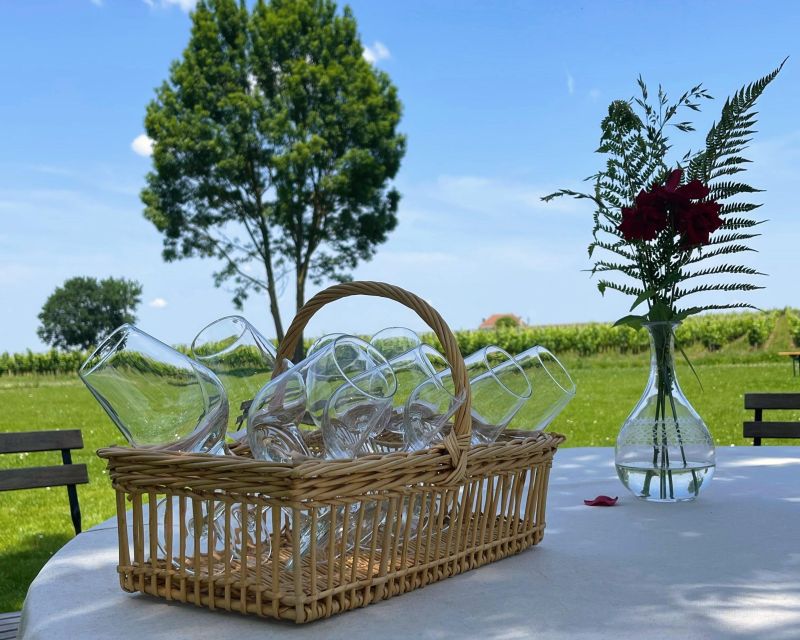 Bordeaux: Saint-Emilion Village Day Trip, 2 Chateaux & Lunch - Why Saint-Émilion makes a fine half-day from Bordeaux