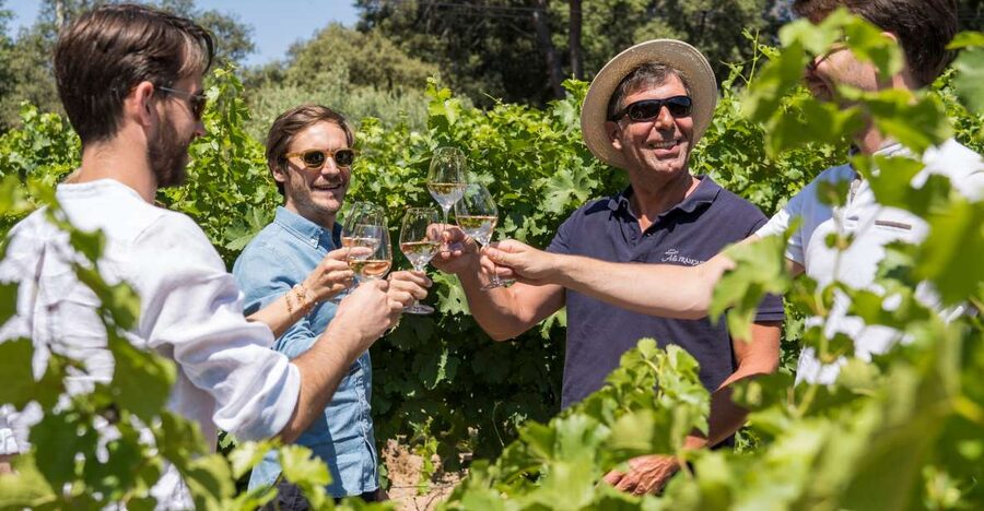 Bordeaux: Saint-Emilion Village Day Trip, 2 Chateaux & Lunch - Two château visits, including a classified estate