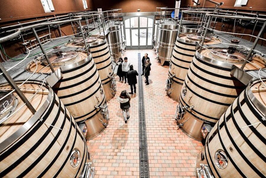 Bordeaux: St-Emilion and Medoc Wine Day Tour with Lunch - Why this tour works for Bordeaux wine country