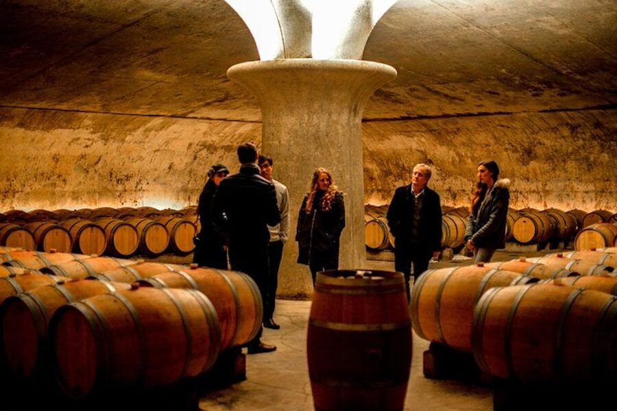 Bordeaux: St-Emilion and Medoc Wine Day Tour with Lunch - Saint-Émilion’s stone lanes and village tasting