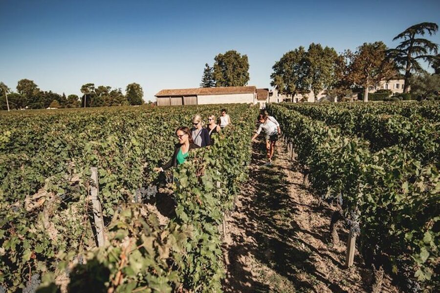 Bordeaux: St-Emilion and Medoc Wine Day Tour with Lunch - 9 a.m. from Rue de la Devise