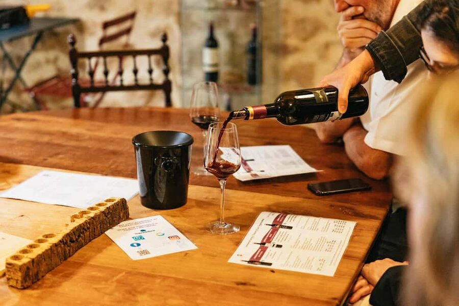 Bordeaux: St. Emilion Day Trip with Wine Tasting and Lunch - Who should book this day trip