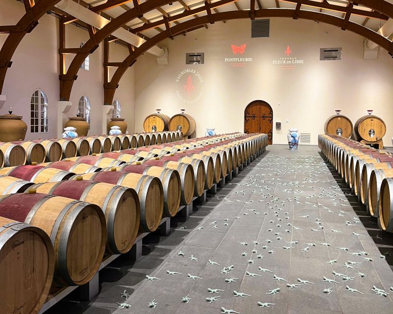 Bordeaux: St-Emilion Vineyards e-Bike Tour with Wine & Lunch - Who should book this day