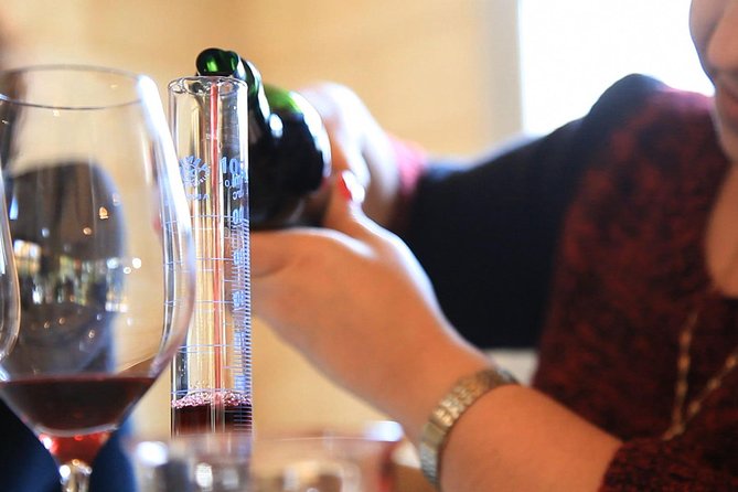 Bordeaux Super Saver Wine Tasting class and St Emilion region - The morning class: more than a line of tastings