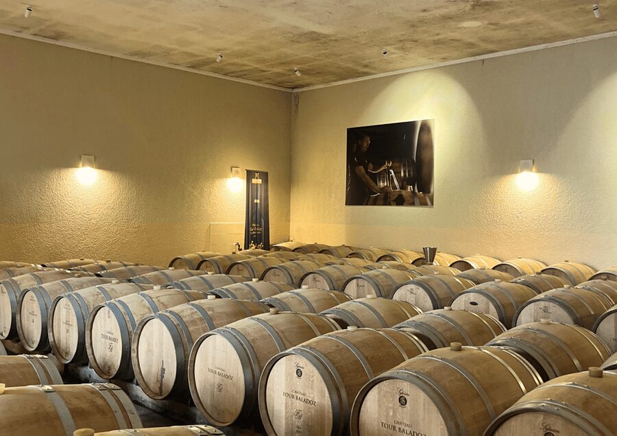 Bordeaux : Unforgettable Saint Emilion Half Day Wine Tour - From Quinconces Square to the Saint-Émilion vineyards