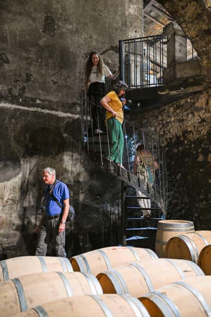 Bordeaux: Vineyards Wine Tasting Half-Day Trip - Price and value at $68