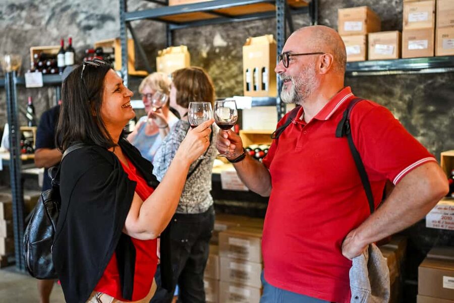 Bordeaux: Vineyards Wine Tasting Half-Day Trip - Which route should you choose?