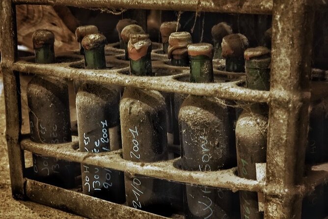 Bordeaux Wine and Trade Museum Admission Ticket with Wine Tasting - Price, value, and what is included