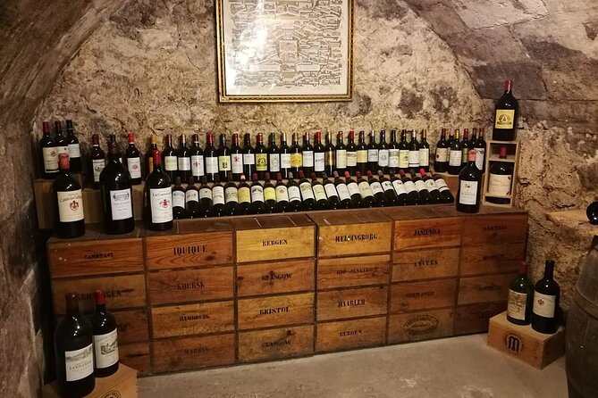 Bordeaux Wine and Trade Museum Admission Ticket with Wine Tasting - Who will enjoy this Bordeaux visit