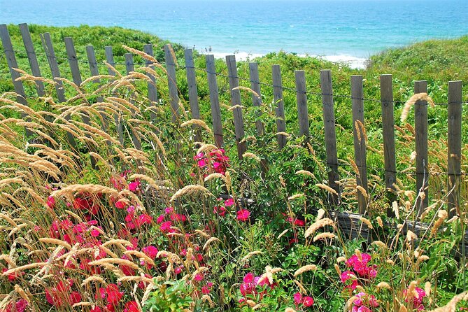 Boston to Martha's Vineyard Day Trip with Optional Island Tour - Edgartown: handsome streets and limited free time