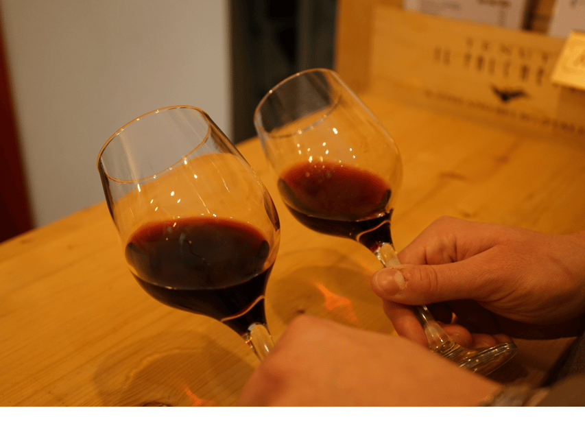 Boutique Wine Tasting in Turin City Center - Booking details and practical value