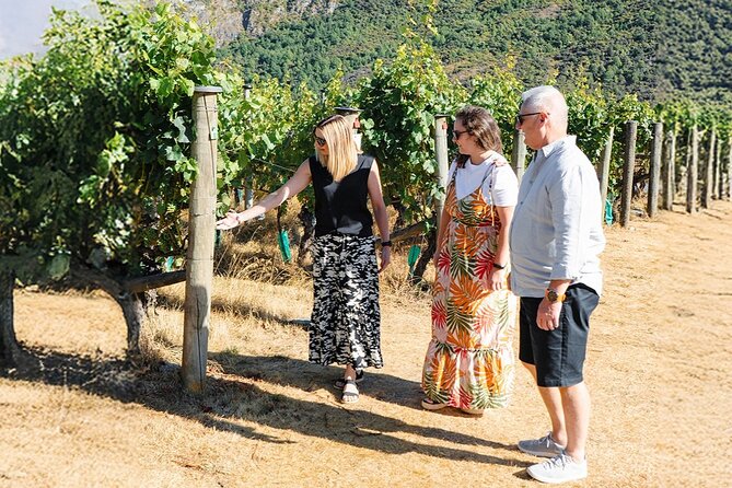 Boutique Wine Tour - visit Central Otago, 4 Wineries & Lunch - A final Gibbston stop breaks up the ride home